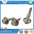 Aço Inoxidável 304/316 Self Drilling Tara Rosca Tek Screw